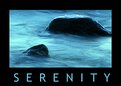 Picture Title - Serenity