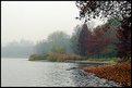 Picture Title - Colors in The Fog... (Lake's life)