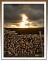 Picture Title - Log  pile and fiery sun