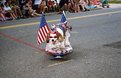 Picture Title - Patriotic Puppy